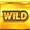 Вайлд символ Вайлд